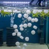 Maasechs K3 Aquarium Filter Media 1 KG Moving Bed Biofilm