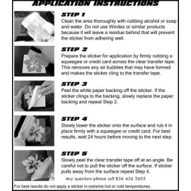 The Vinyl Shop ACME RACING Wyle E Coyote set Hot Rod, Race, NHRA, Rat Rod decal sticker.