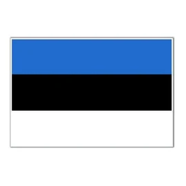 Flagtex Estonia Flag