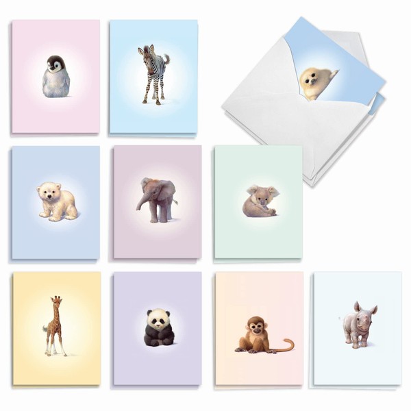 The Best Card Company 20 Assorted Baby Notecards Box Set 4 x 5.12 Inch with Envelopes (10 Designs, 2 Each) Zoo Babies AM6726BBG-B2x10