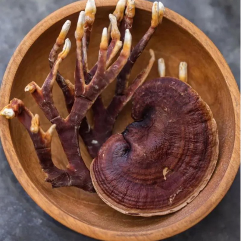 Freshly Fermented - Organic Mushroom Coffee Instant - ReIshi -