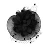 Women Feather Fascinators Flower Lace Hat Elegant Mesh Headpiece Headband