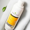 Bio Balance Organic Citrus Shampoo for greasy hair