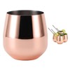 Stainless Steel Wine Glass Stemless Egg Shape 550ml Unbreakable Portable