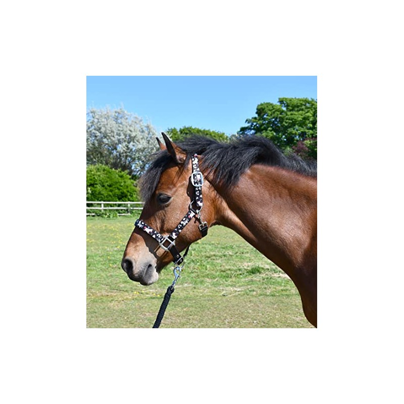 Rhinegold Unicorn Headcollar and Rope Set - Shetland - Black