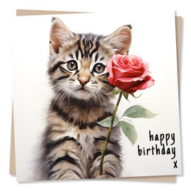 Beautiful Kitten and Rose Birthday Card - Happy Birthday x - For Cat Lovers, Family, Friends - Made in UK