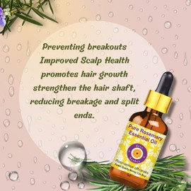 Deve Herbes Rosemary Essential Oil (Rosmarinus officinalis) with Glass Dropper for Healthy Hair Pure | Non-Sticky | Non-greasy | Lightweight | Men & Women | All Hair Types | 30ml (1 oz)