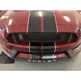 Ford 2016 2017 2018 2020 Mustang Shelby gt350 front splitter vinyl Lettering insert