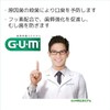GUM(ガム)・デンタルペースト 155g (医薬部外品)