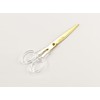 Dany Marcus Scissors 17 cm Gold with Clear Acrylic Handle