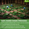 TOG999, Premium 60 Moringa Leaf Tea Bags, 100% Natural &