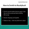 Roudybush Daily Maintenance Bird Food, Small, 10-Pound