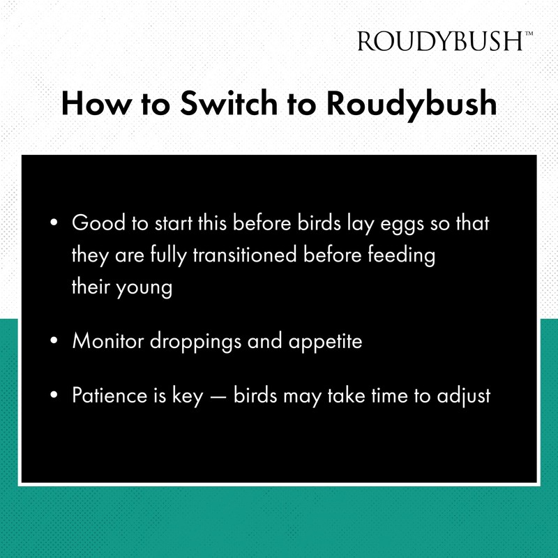 Roudybush Daily Maintenance Bird Food, Small, 10-Pound