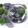 Ausluru 20LB Stones Pebbles River Rocks, 100% Natural Hand-Picked Premium