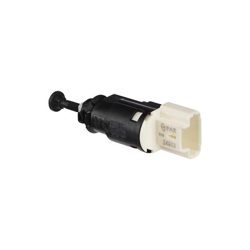 FAE 24903 Switch