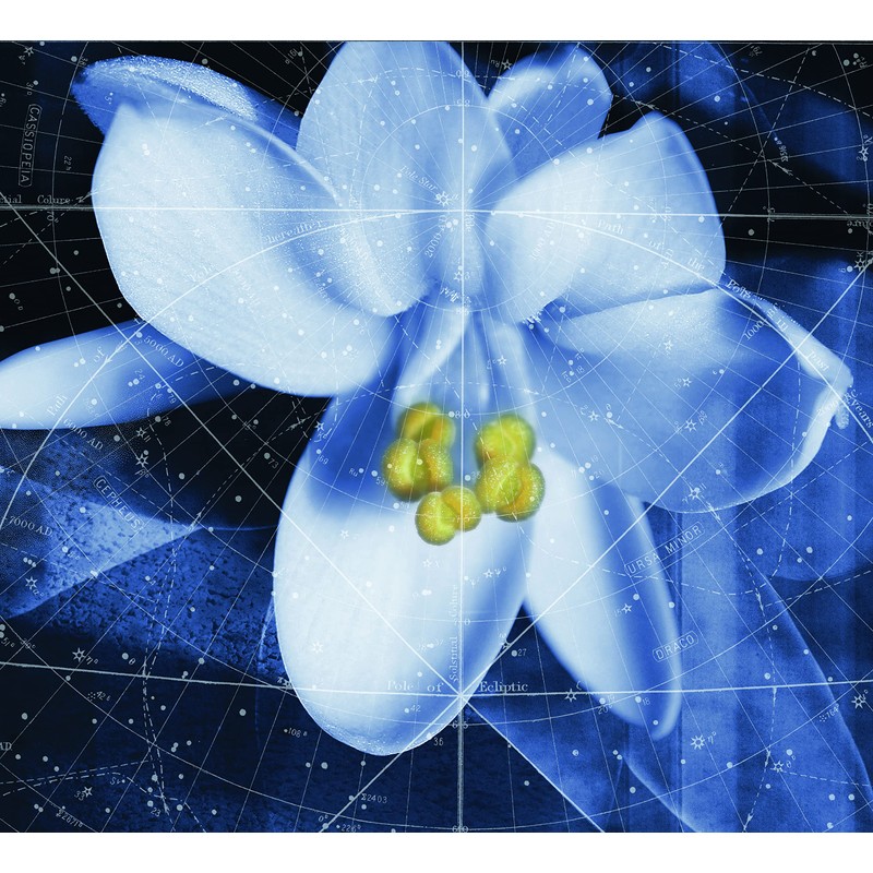 Comfort Zone 24 Hour Kit - Christmas Edition