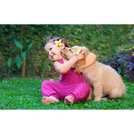 Aroma Paws Dog Shampoo – Cleansing Wash, Conditioning, Moisturizing – Toxin Free, Healthy Ingredients – Aromatic Grooming Puppy Shampoo – Tearless Cleaner, Honeysuckle Jasmine