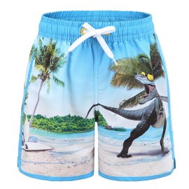Moon Tree Boys Swim Trunks Kids Quick Dry Beach Boards Shorts Swimsuits 3D Print Dinosaur UPF 50+ Sun Protection Dino Size 6