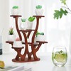 Jotsport 9 Pots Mini Succulent Stand Windowsill Small Plant Stand