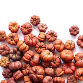 Putka Pods Pumpkin Spice Scented Orange Mini Pumpkins, Great for Fall Potpourri Crafts and Bowl Filler, Home Decor 5 Cups