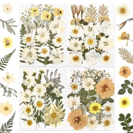 DALARAN 85Pcs White Dried Pressed Flowers for Resin Molds Real Pressed Flowers Dry Leaves Kit for Art Crafts Resin Jewelry Making Scrapbook Supplies Card Making Soap Candle DIY