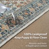 nunubaby Washable Pee Pads for Dogs, Stylish, Non-Slip and Leak-Proof