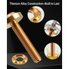 Windshield Screws Fit for Harley Touring FLTRX Road Glide FLTRXS