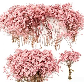 100pcs Natural Dried Baby’s Breath Flowers - Pink Preserved-Dried Babies Breath Bouquet, Real Gypsophila for Wedding, DIY Crafts, Resin Art, Invitation Cards & Home Décor