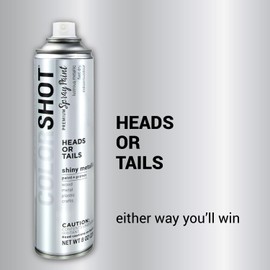 COLORSHOT Metallic Spray Paint Heads or Tails (Silver) 8 oz.