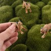 Luckforest Mini Lynx Figurines, 4 Pcs Miniature Lynx Figurines Animal