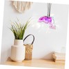 Operitacx Dolphin Hanging Sun Catcher Charm Crystal Pendant for Ocean