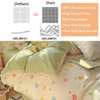 CinYana Queen 100% Cotton Reversible Duvet Cover Set Sage Green