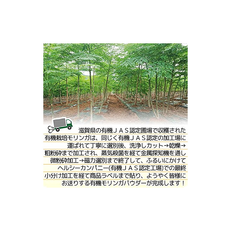 ヘルシーカンパニー オーガニック 国産 モリンガパウダー100ｇ モリンガ粉末 モリンガ青汁 こだわり製法 有機