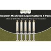Gourmet Mushroom Liquid Cultures 5-Pack