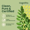 Moringa Capsules – 3 Month Supply – High Strength 50:1