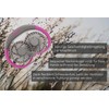 UNOLD 86699 NACKENVENTILATOR Breezy Anthrazit mit bequemen Nackenbügel, 3-stufige Geschwindigkeitsregelung,