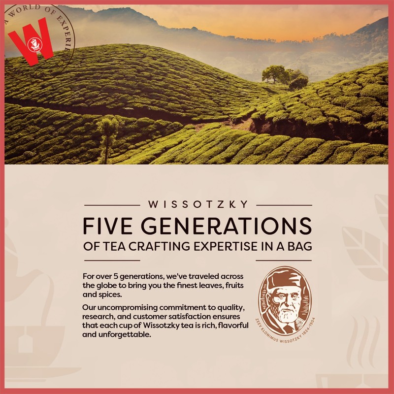 Wissotzky Raspberry Boost Black Tea (6 Pack - 120 Tea