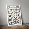 Where's Wildlife Maryland's Backyard Birds Poster - Maryland Bird Chart