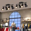 SEEBLEN 4-Light Track Lighting Kit, Directional Ceiling Light, Industrial Black