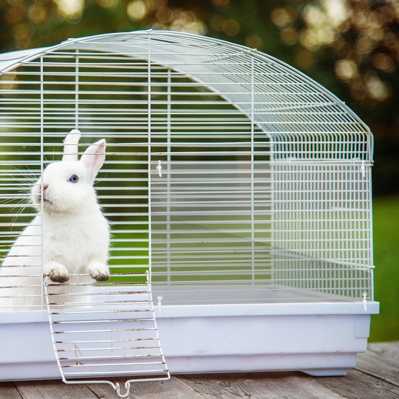 BingegePet 15-Pack Transparent Cage Scatter Guards – PVC Pet Enclosure