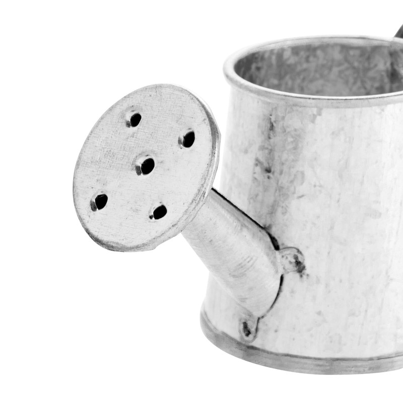Juvale Mini Watering Can - 3 x 1.6 in, Silver,