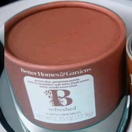 Better Homes & Gardens Essential Oil Infused Wax Melts Mint Aloe Aromatherapy