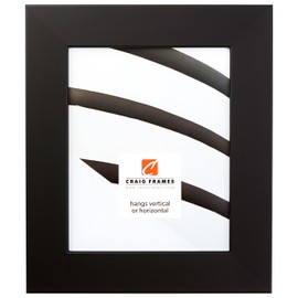 Craig Frames 74273 8 x 10-Inch Picture Frame, Smooth Wrap Finish, 2-Inch Wide, Black Satin