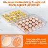 MesRosa Deviled Egg Containers with Lid and Handle, Durable Clear