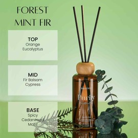 M&SENSE Forest Mint Fir Scent Diffuser: 6.3 fl oz Lime & Lemon Aroma Set with Light & Subtle Fragrance, Long-Lasting Non-Toxic Natural Essential Oil Diffuser for Office Shelf Decor Small Spaces ﻿