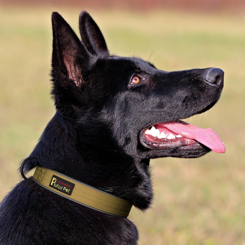 PLUTUS PET Collar Táctico para Perro, Reflectante, Collar para Perro