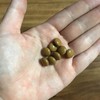 Yakuzen Oyster Meat Extract Granules and Milt Extract (Approx. 240