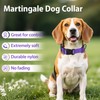 Erbine Martingale Collar for Dogs with Quick Release Buckle, Reflective