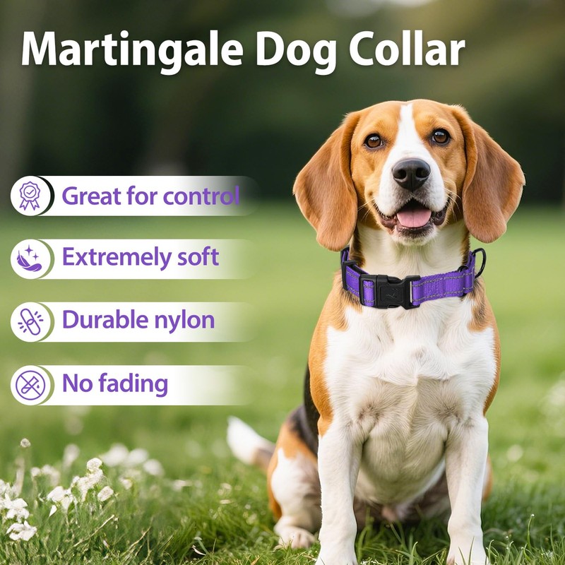 Erbine Martingale Collar for Dogs with Quick Release Buckle, Reflective