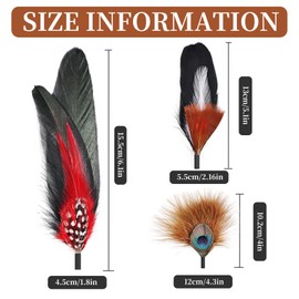 iHUFeather 12Pcs Hat Feathers, Assorted Natural Feathers for Hats Colorful Real Feathers Pin for DIY Craft, Men Women Cowboy Hats, Fedora, Party Hats,Oktoberfest (12 Style)